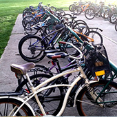 Bikes parked in bike stand