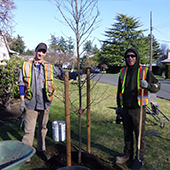 Park Tree Planting