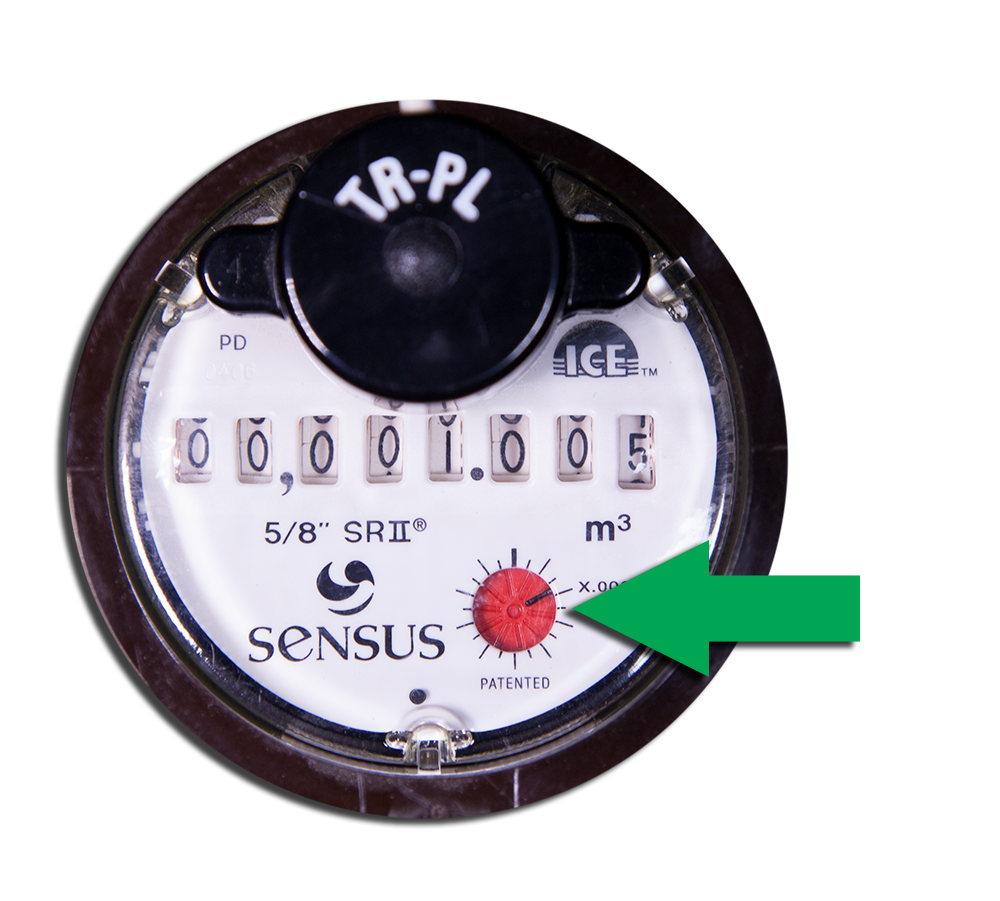 photo of sensus meter