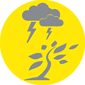 severe weather icon