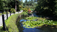 Pond and Gardens in Outerbridge Park