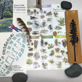 Collage of various natural elements and learning tools including rocks, feather, pictures of trees, animals and a Garry Oak Ecosystem guide