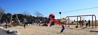 Cadboro Gyro Playground