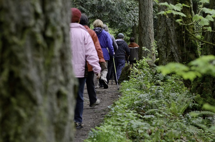 photo of hikers on wooded trail