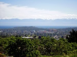 View of Victoria and Olympic Mountains from Mount Tolmie