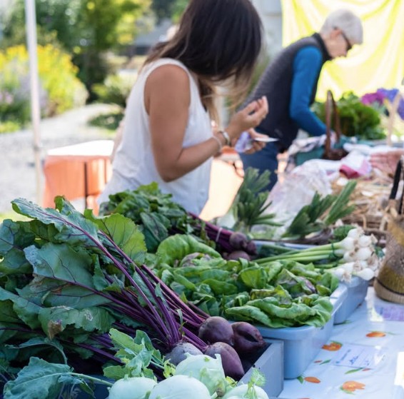 Photo of local farm market vendors under a white tent selling beets and other produce to customers. 