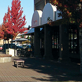 Broadmead shopping area