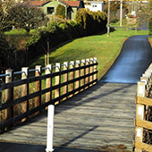 Bridge and trails