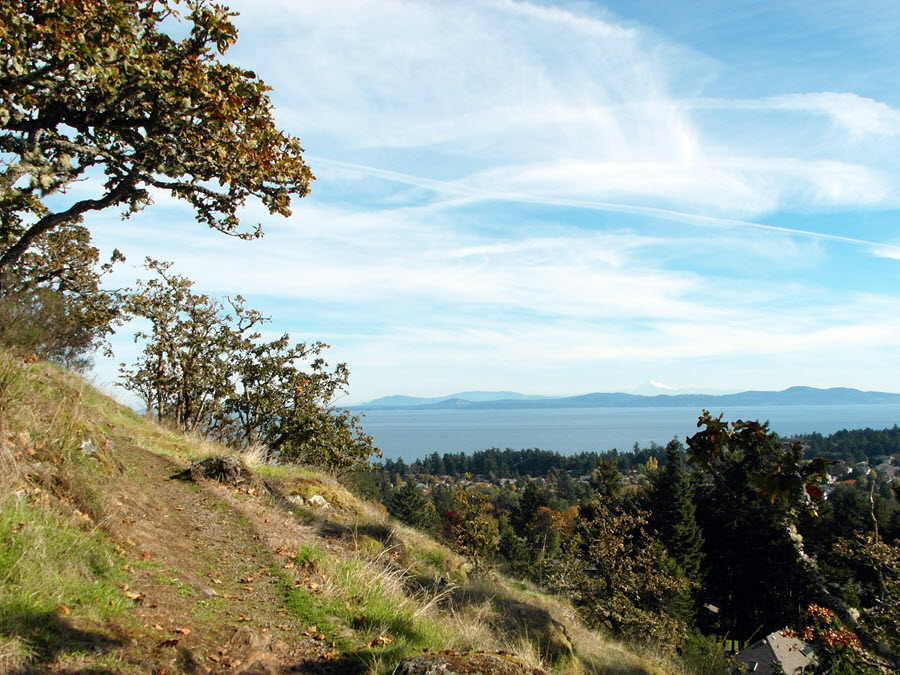 View from Boulderwood Hill Park