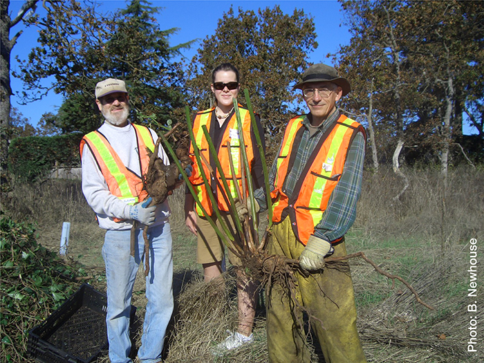 Volunteers