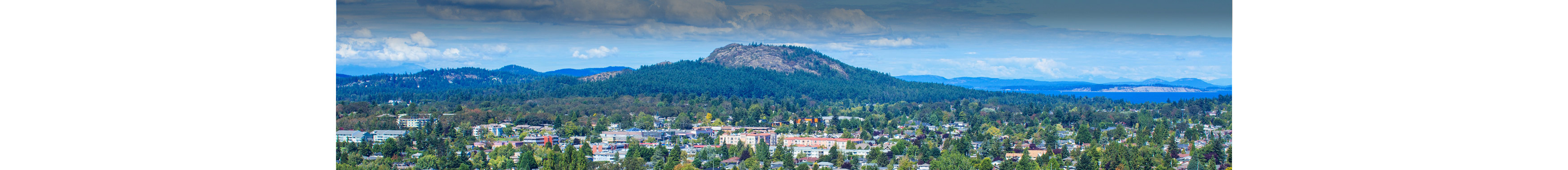 panoramic image of shelbourne cedar hill area