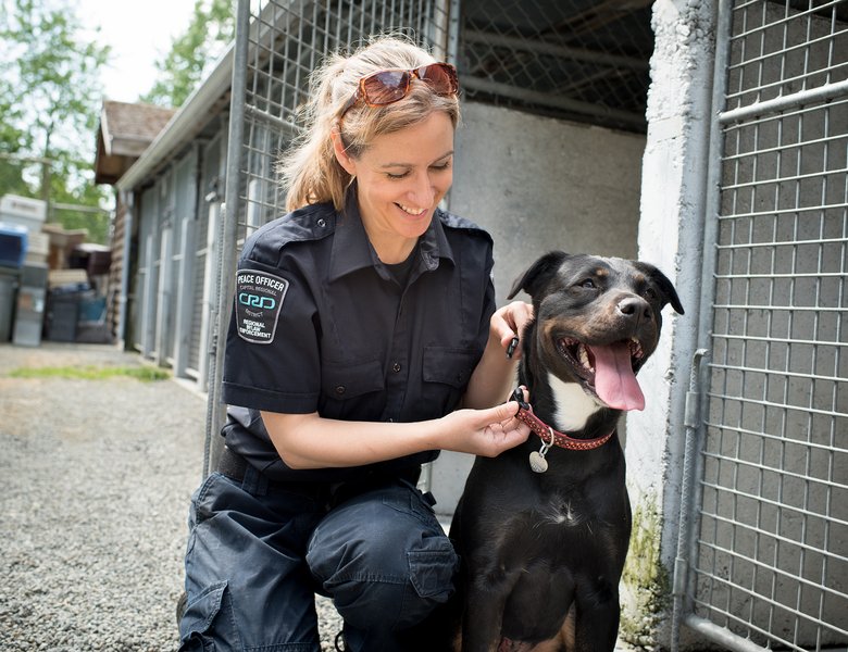 Saanich transfers animal care services to Capital Regional District |  District of Saanich