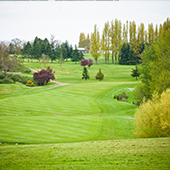 Golf course fairway