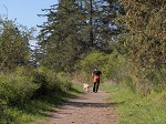 Man and his dog enjoying the trails in Cuthbert Holmes Park