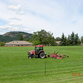 Mowing the grass in a Park