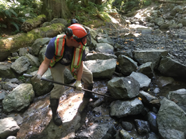 Restoring creek bed