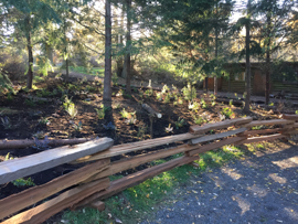 Trail closure and restoration