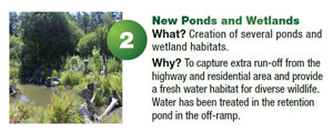 Project 2 - new ponds and wetlands