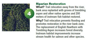 Project 4 - riparian restoration