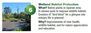 Project 6 - wetland habitat protection