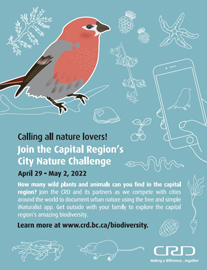 CRD Nature Challenge poster showing the iNaturalist app crd.bc.ca/biodiversity