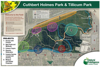 Cuthbert Holmes & Tillicum Park management plan improvement projects