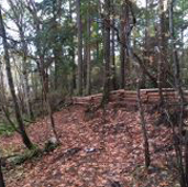 Picture of Haro Woods Park with trees and split rail fencing