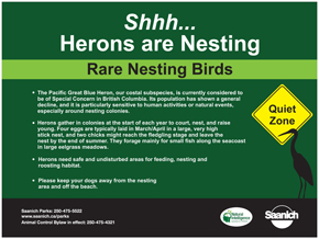 Herons are nesting information for quiet zone