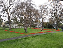 Garry Oak meadow area in Hyacinth Park