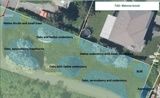 Map of Colquitz Creek Tree Appreciation Day site along trail to Brydon Park