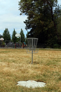 Disc golf basket in McMinn Park