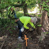 Volunteer working in a park