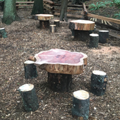 Tables and chairs made from fallen tree trunks in the Tinkertown natural area