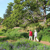 People walking through trail