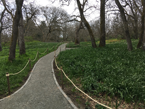 Path through Garry Oak Meadow in Playfair Park