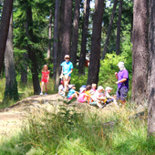 Young children in wooded park area learning about nature
