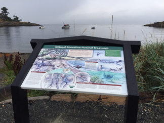 Natural Shoreline Natural Treasures Interpretive Sign at Telegraph Cove