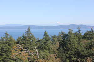 View from the top of Mount Douglas Park