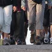 Group of several people walking down a pathway