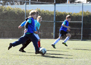 Young kids playing soccer at Hampton Park