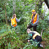 Pulling Together Volunteers