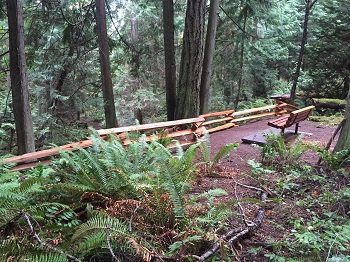 Split rail at Mt. Doug Creek