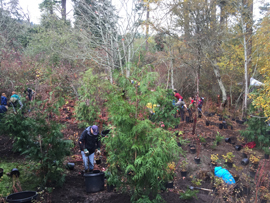 Planting during 2015 Tree Appreciation Day