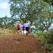 Runners Going Uphill in a Park