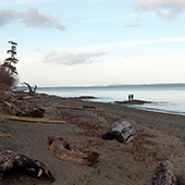 Beach at Agate Park