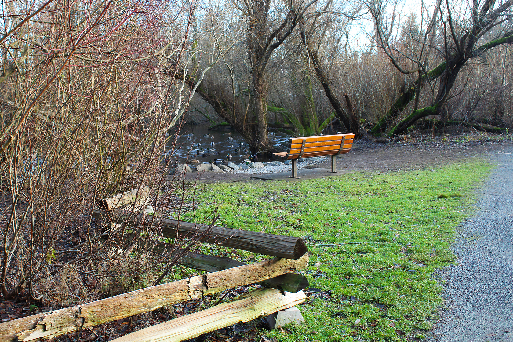 Bench in Bow Park