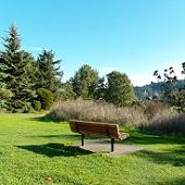 Park Bench with a View at Donwood Park
