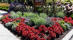 Flower Bed Display at Gorge Waterway Park Sign