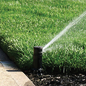 Sprinkler head watering grass