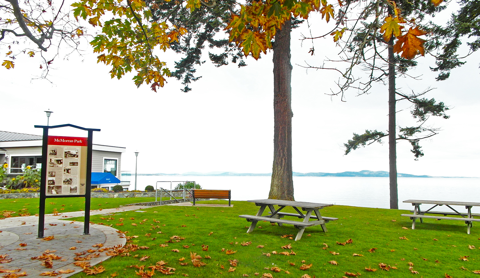 Bench and Ocean View from McMorran Park